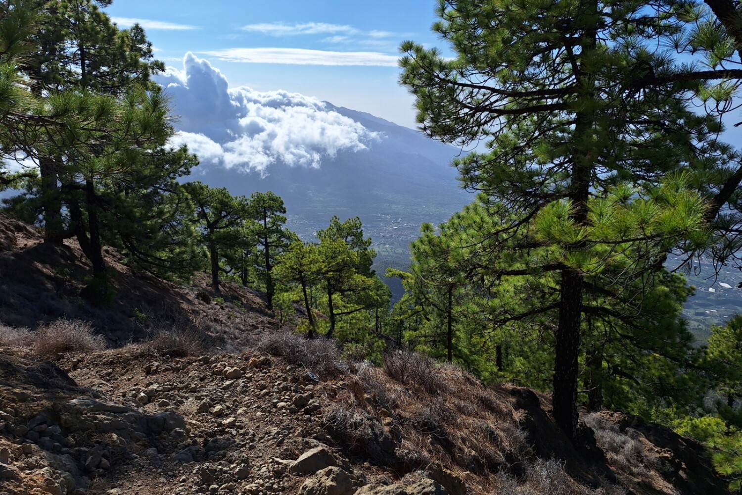 La Palma