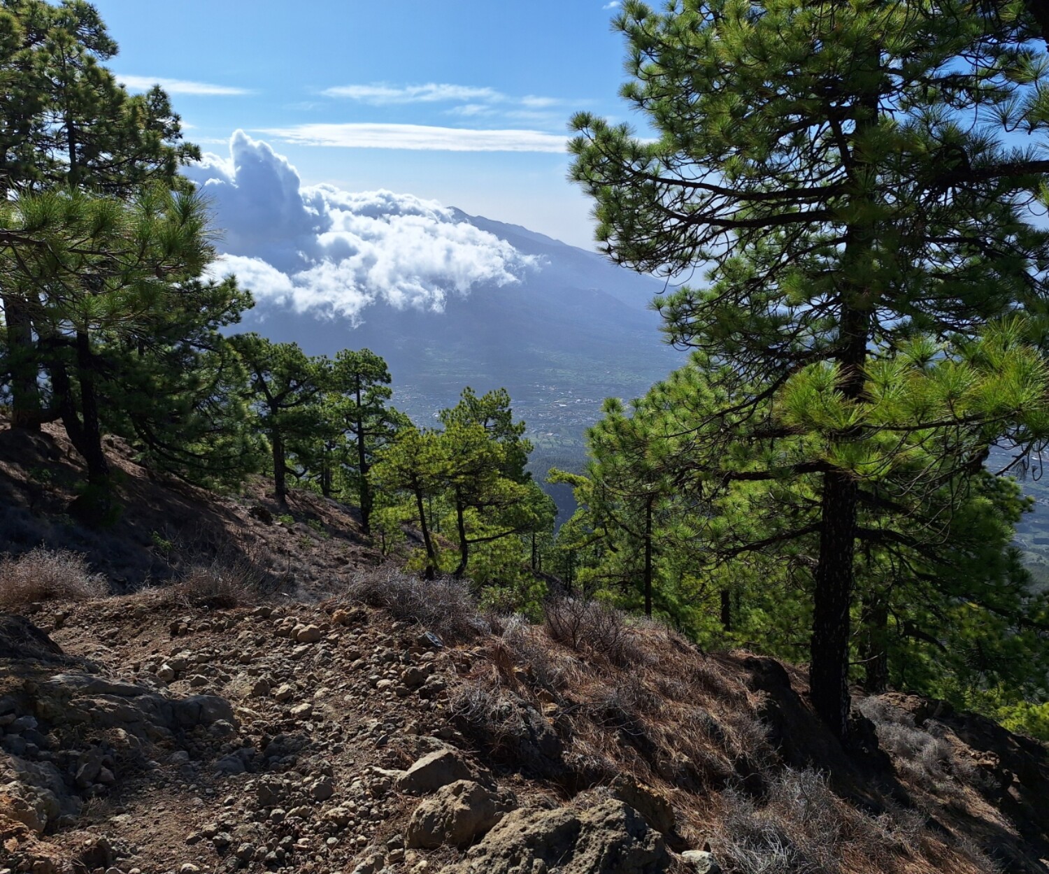 La Palma